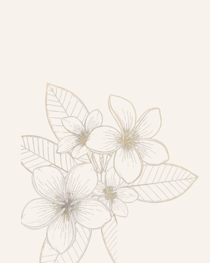 Monoi Ambrosia PeauLixir